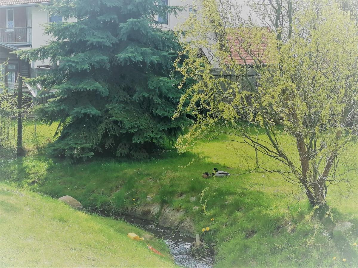 Urlaub Beim Schmied Apartment Kuehlungsborn Exterior photo