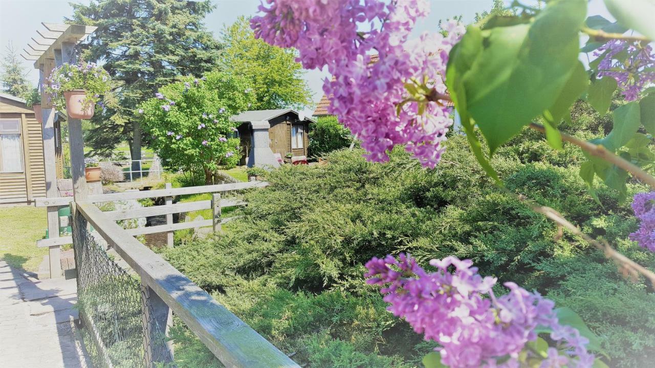 Urlaub Beim Schmied Apartment Kuehlungsborn Exterior photo