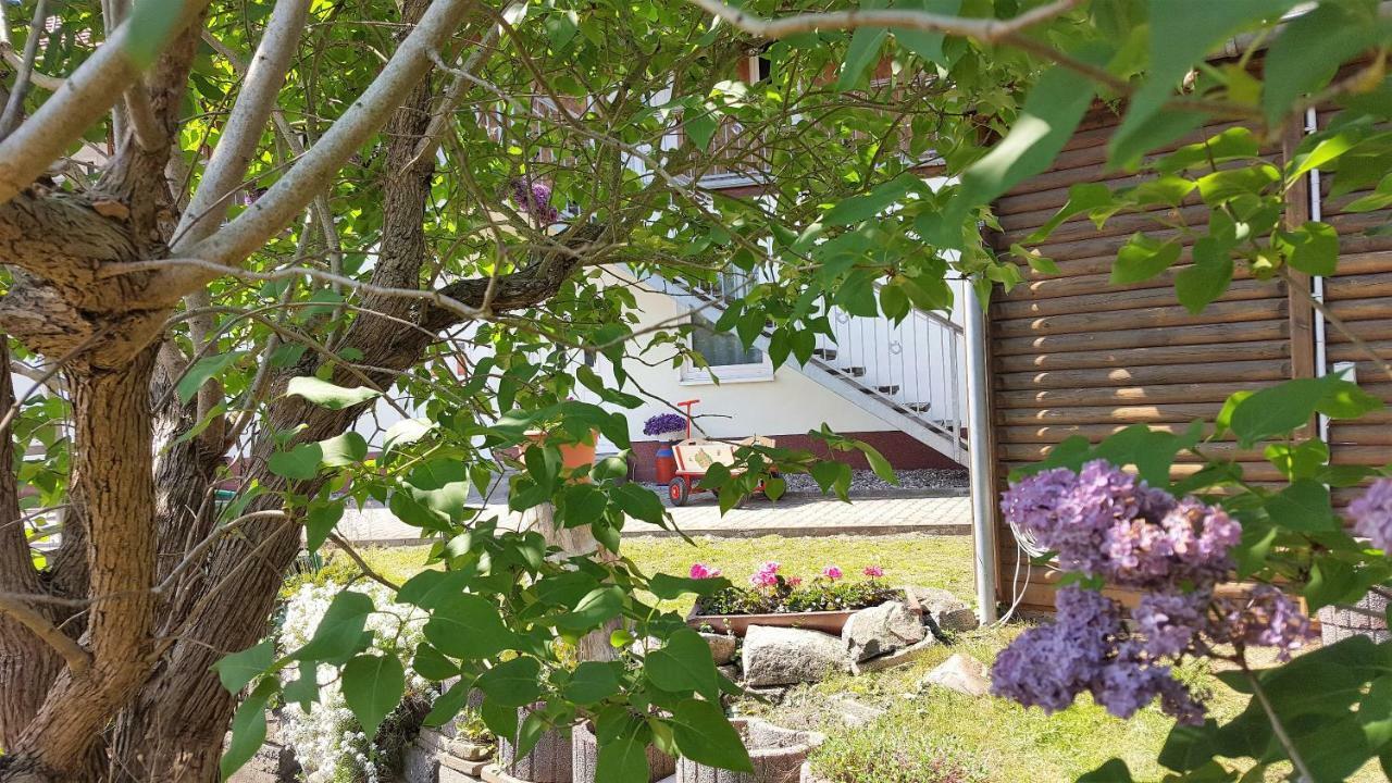 Urlaub Beim Schmied Apartment Kuehlungsborn Exterior photo